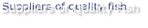 Suppliers of Quality Fish
